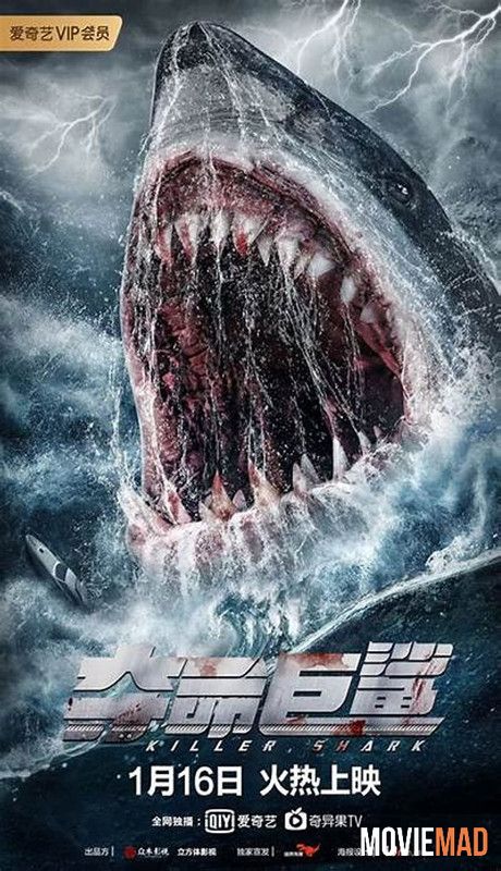 full moviesKiller Shark (2021) Hindi Dubbed ORG WEB DL Full Movie 1080p 720p 480p